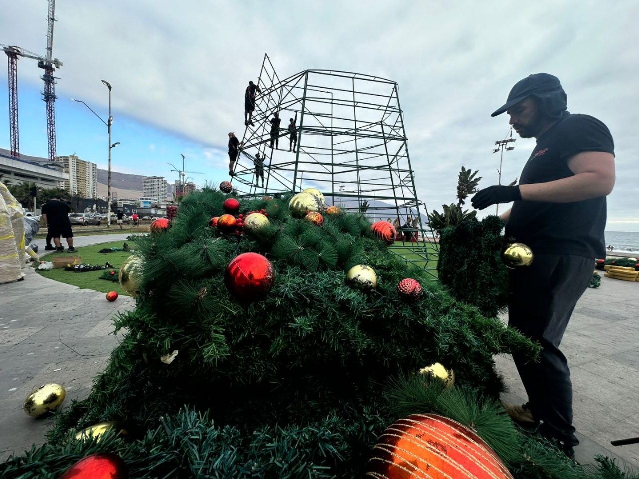 Iquique comienza a vivir la Navidad 2024 con instalación de árboles gigantes de IMI